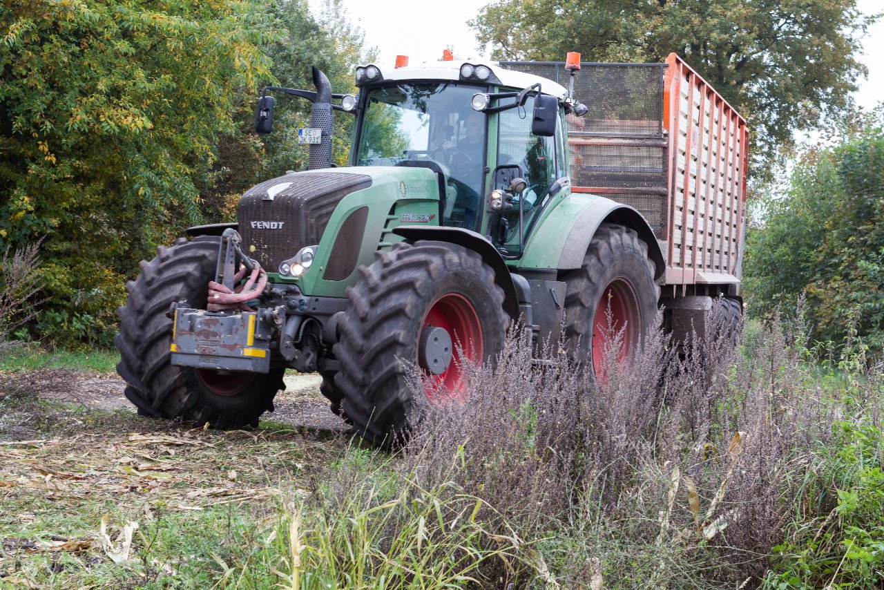 Bild 42 - Maisernte am 22.10.12